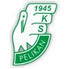 Pelikan Lowicz football club