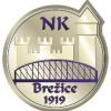 NK Brežice 1919 football club