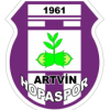 Artvin Hopaspor