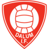 Dalum IF football club