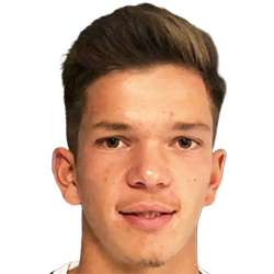 Ronaldo Shani