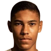 Vinicius Balieiro Lourenco De Carvalho