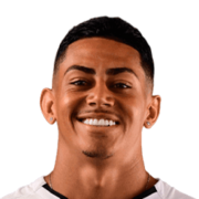 Vinicius Rodrigues Adelino Dos Santos
