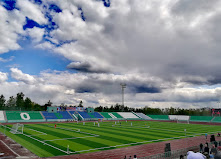 Central Stadium Oryol