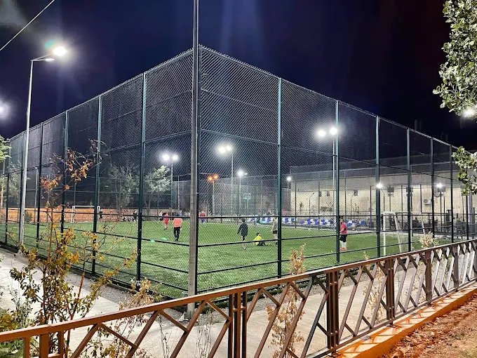 Vitali Daraselia Academy